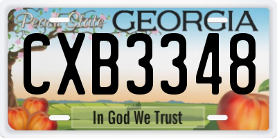 GA license plate CXB3348