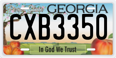 GA license plate CXB3350
