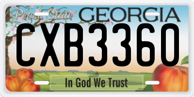 GA license plate CXB3360