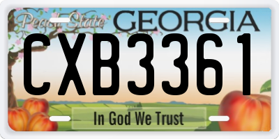 GA license plate CXB3361