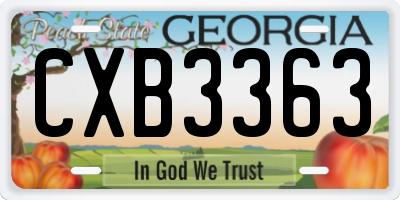 GA license plate CXB3363