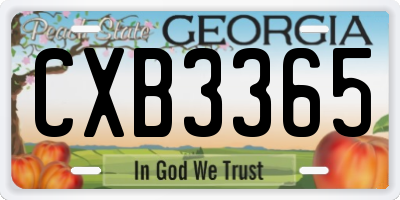 GA license plate CXB3365