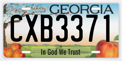 GA license plate CXB3371