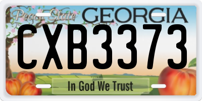 GA license plate CXB3373