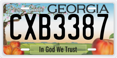 GA license plate CXB3387
