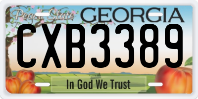 GA license plate CXB3389