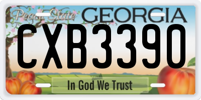 GA license plate CXB3390