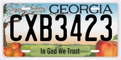 GA license plate CXB3423