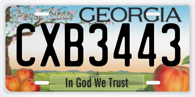 GA license plate CXB3443