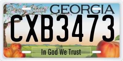 GA license plate CXB3473