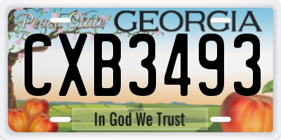GA license plate CXB3493