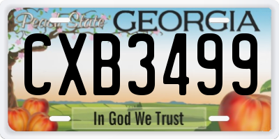 GA license plate CXB3499