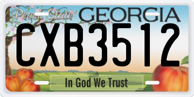 GA license plate CXB3512