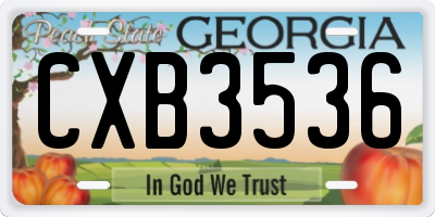 GA license plate CXB3536