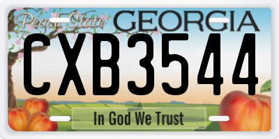 GA license plate CXB3544
