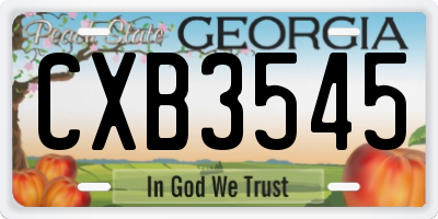 GA license plate CXB3545