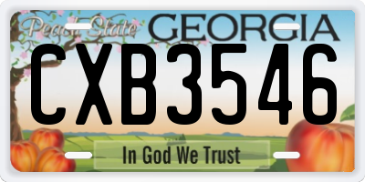 GA license plate CXB3546