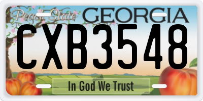 GA license plate CXB3548