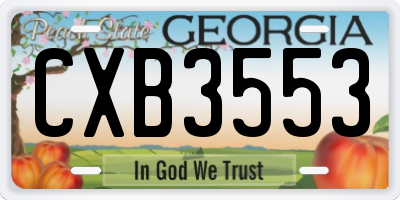 GA license plate CXB3553
