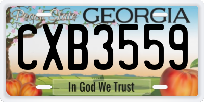 GA license plate CXB3559