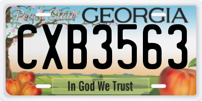 GA license plate CXB3563