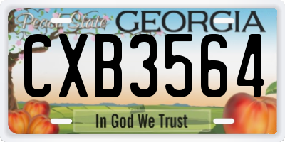 GA license plate CXB3564