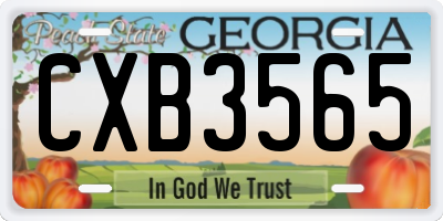 GA license plate CXB3565