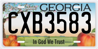 GA license plate CXB3583