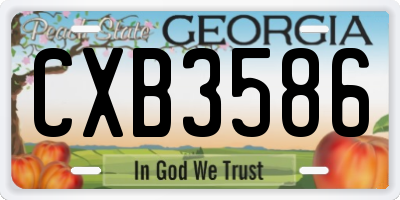 GA license plate CXB3586