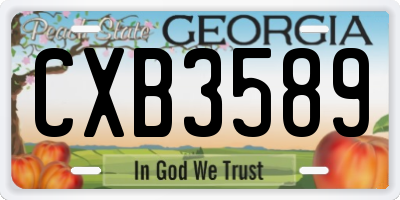 GA license plate CXB3589