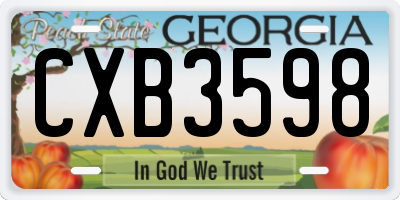 GA license plate CXB3598