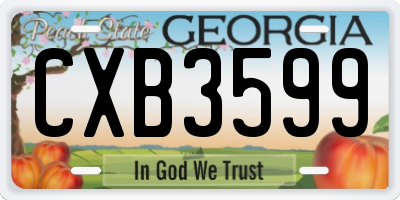 GA license plate CXB3599