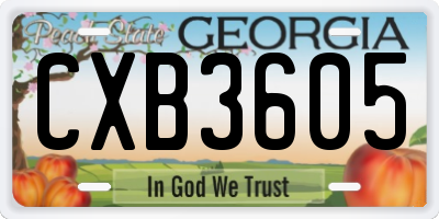 GA license plate CXB3605
