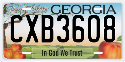 GA license plate CXB3608