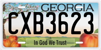 GA license plate CXB3623