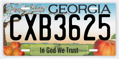 GA license plate CXB3625