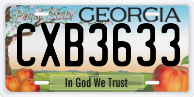 GA license plate CXB3633