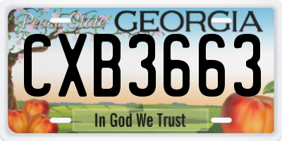 GA license plate CXB3663