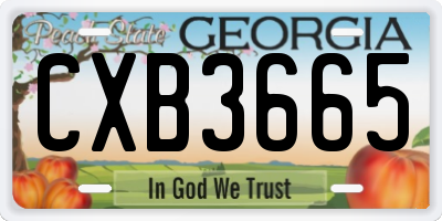 GA license plate CXB3665