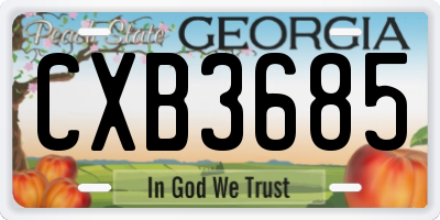 GA license plate CXB3685
