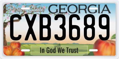 GA license plate CXB3689