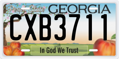 GA license plate CXB3711