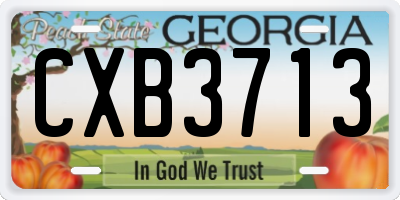 GA license plate CXB3713