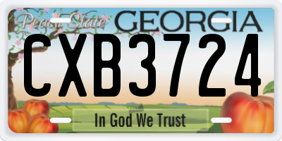 GA license plate CXB3724