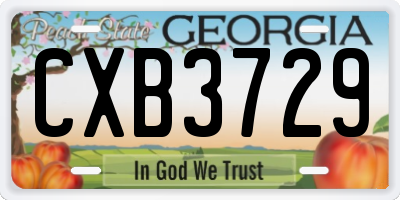 GA license plate CXB3729