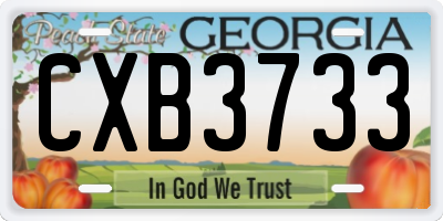 GA license plate CXB3733