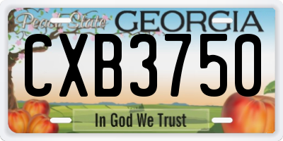 GA license plate CXB3750