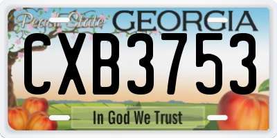 GA license plate CXB3753