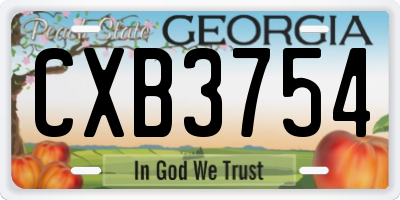 GA license plate CXB3754