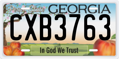 GA license plate CXB3763